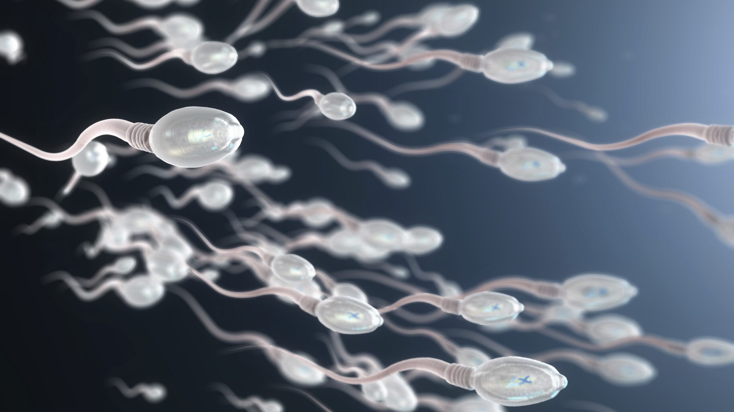 A 3D illustration of sperm swimming.