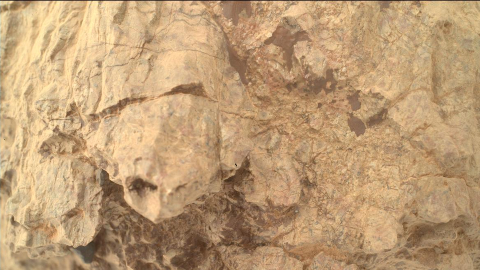 A photo of a turtle-shape rock formation on the surface of Mars