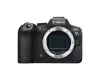Corps EOS R6 Mark II
