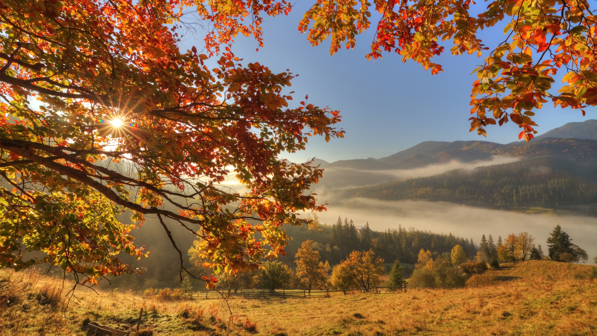 A photo of a field with trees in beautiful autumn colors and the sun setting over hills in the distance