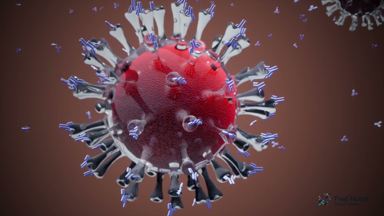 Comment fonctionnent les vaccins de l'ARNm? - YouTube