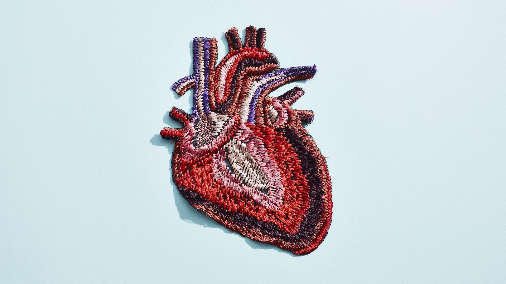 an illustration of a heart