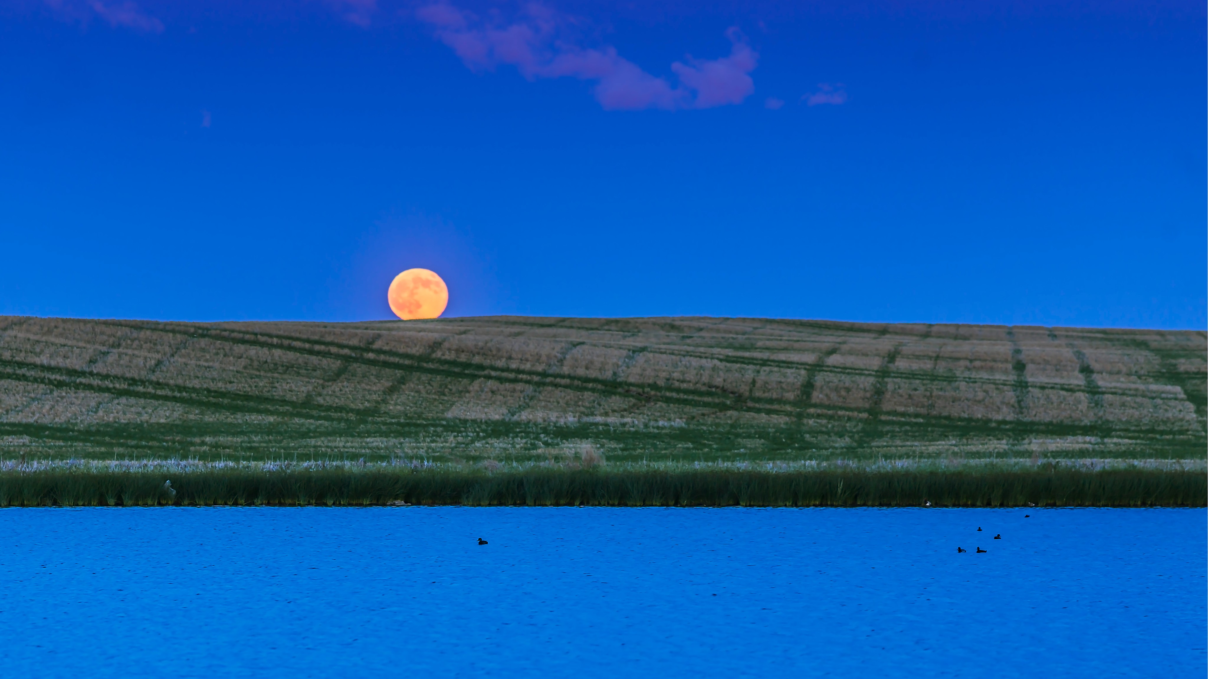 La pleine lune se lève sur les champs et l'eau au Canada.