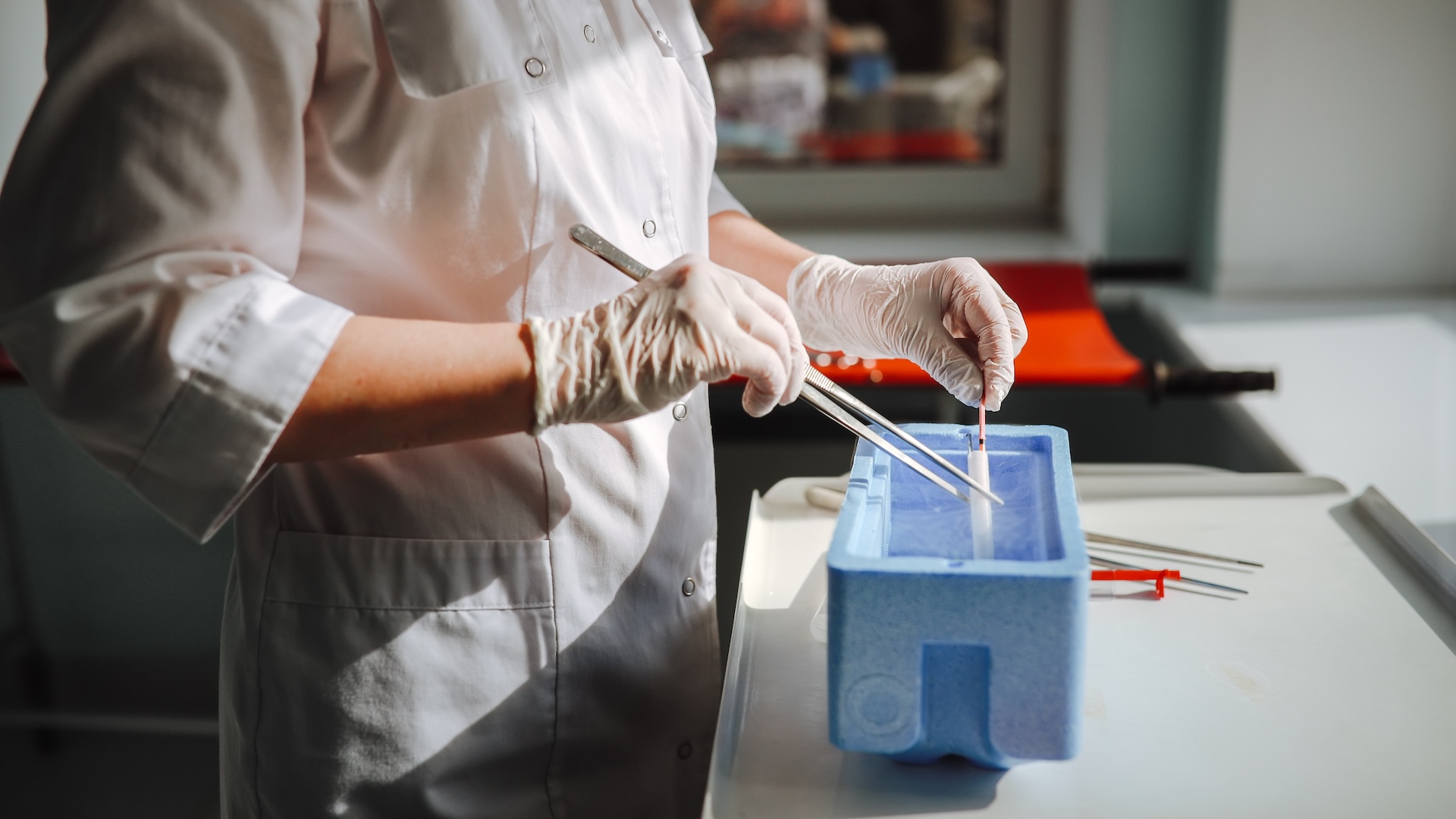 Un scientifique travaille sur des cellules d'un laboratoire