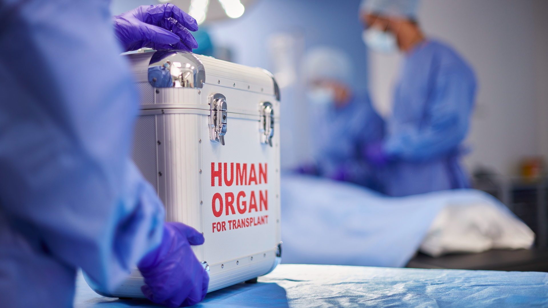 a person in blue scrubs and purple nitrile gloves holds a steel container reading "human organ for transport" in a hospital OR setting