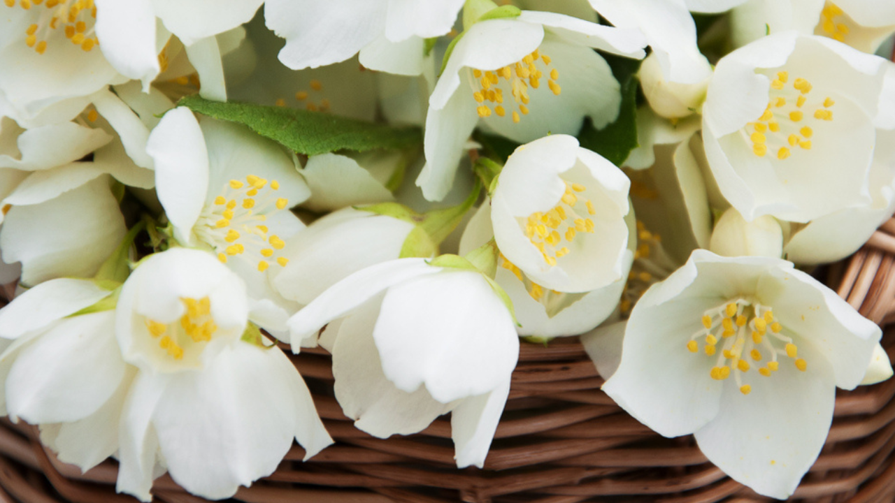 10 conteneurs d'hiver qui restent vivants lorsque tout le reste s'estompe