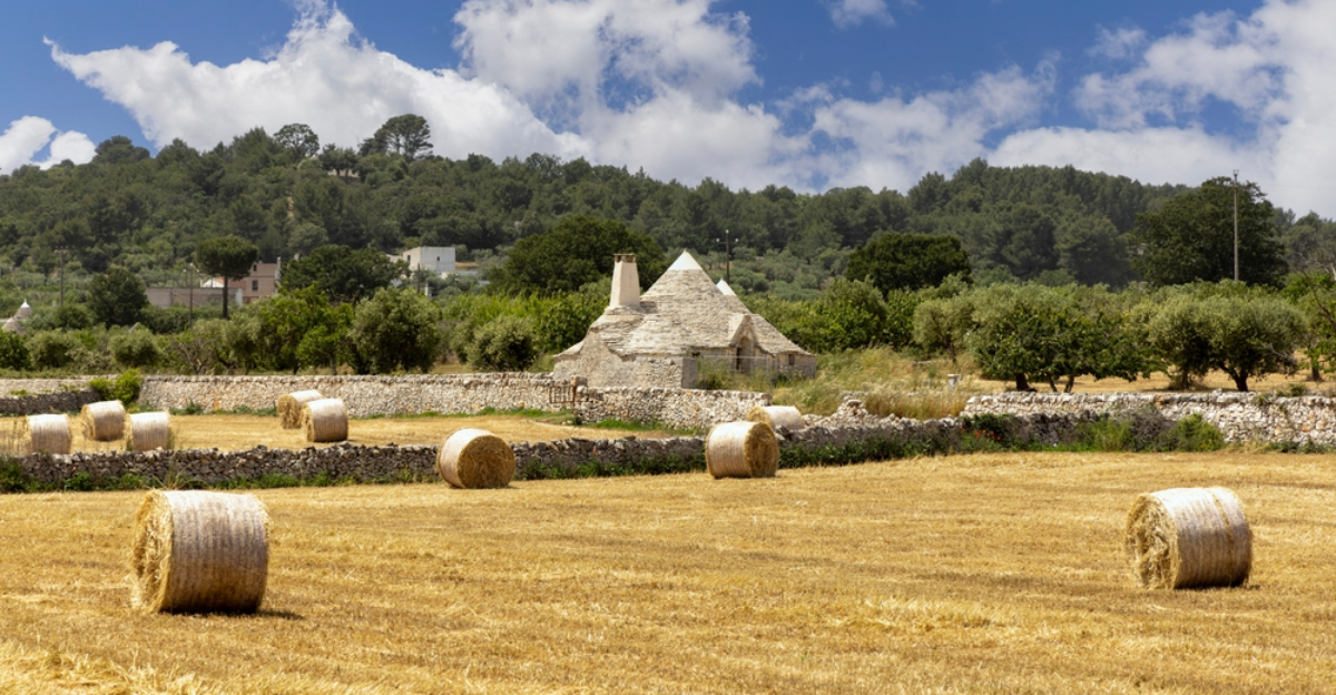 14 séjours à la ferme paisibles à travers l'Europe, parfaits pour les familles