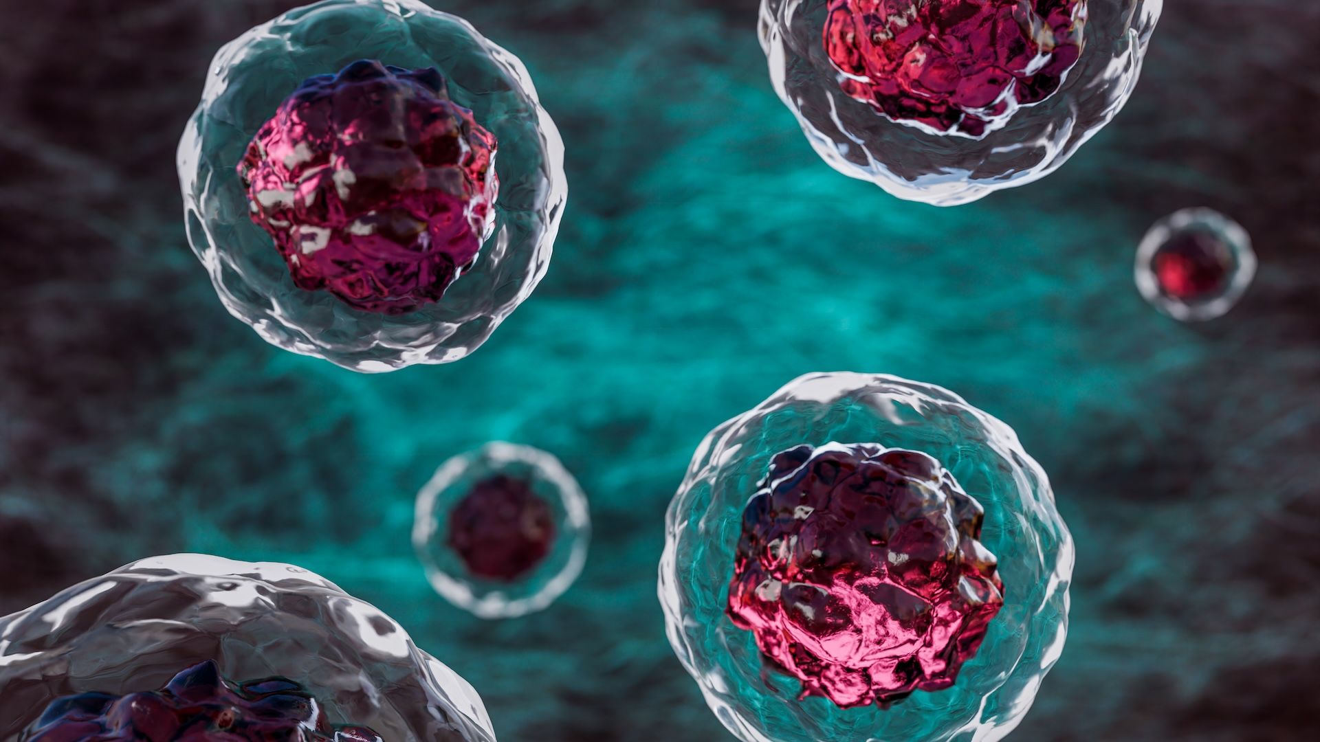 an illustration of cells