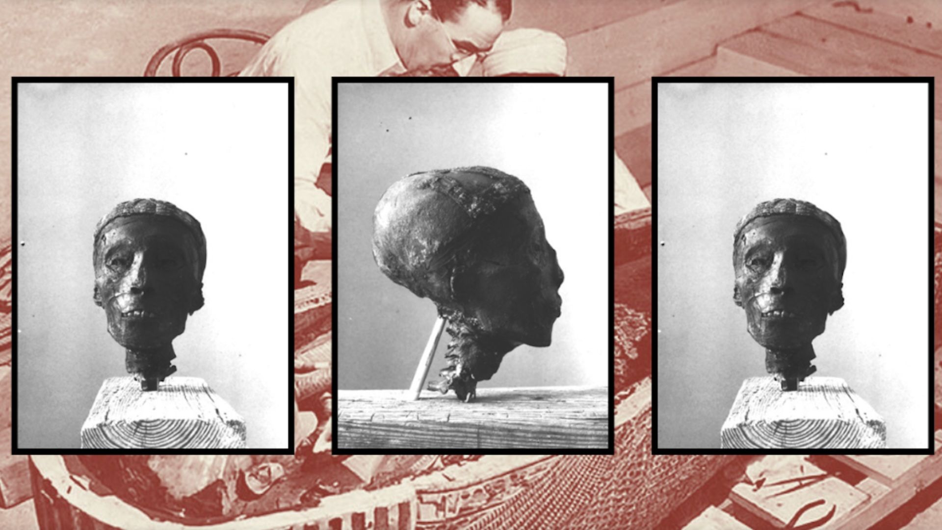 Three black and white photos of King Tut's mummified, severed head