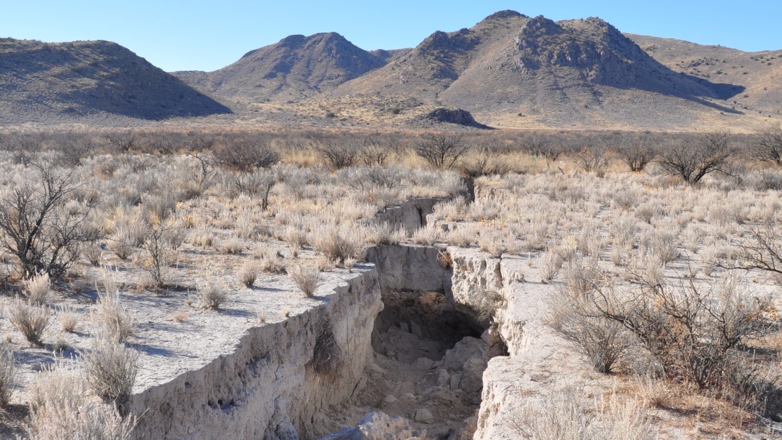 A photograph of a massive crack in the ground of Arizona's Willcox Basin.