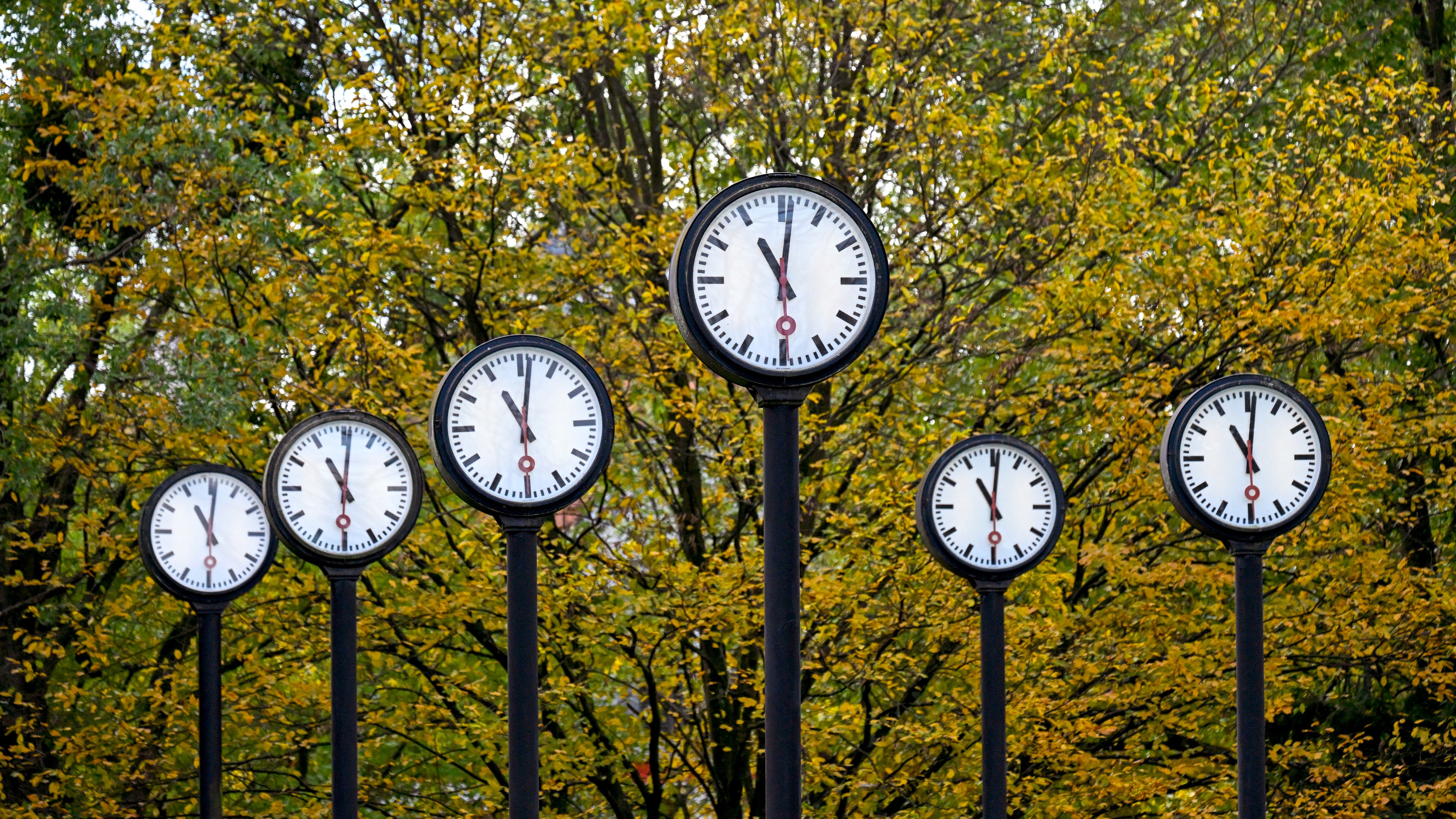 Les horloges sont alignées devant les arbres d’automne