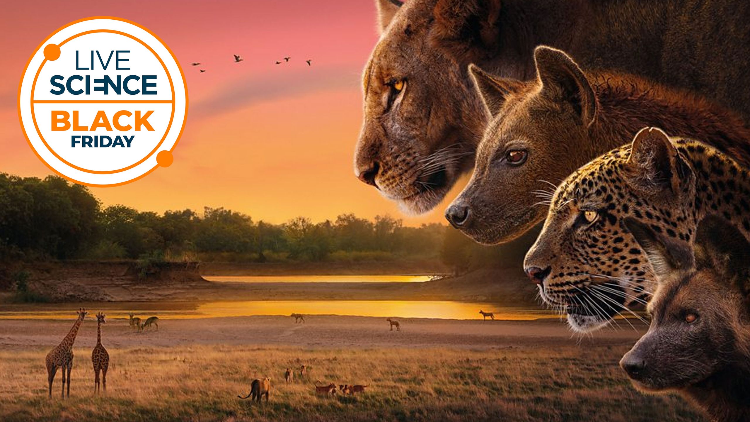 Regardez les meilleurs documentaires sur la nature et émissions scientifiques avec ces offres de streaming