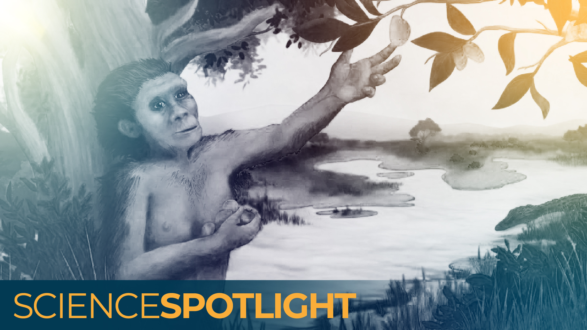 Une illustration de Lucie