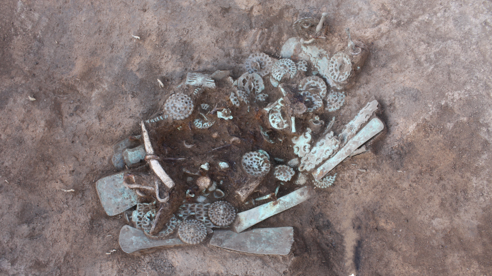 a pile of green-colored bronze artifacts still in the ground