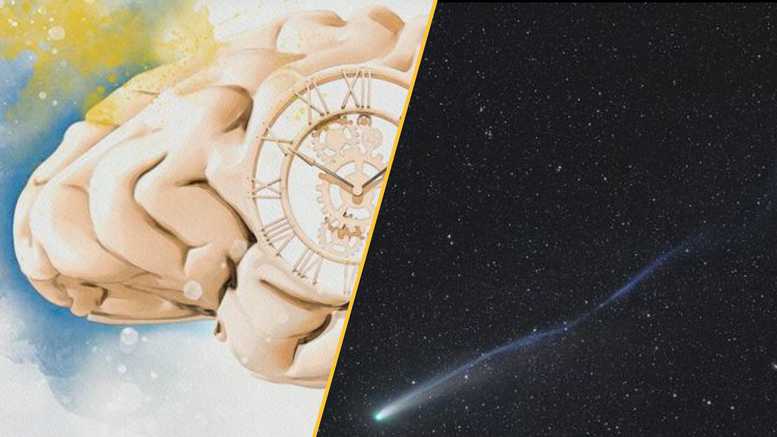 Le cerveau humain comme horloge et la comète Lemmon.