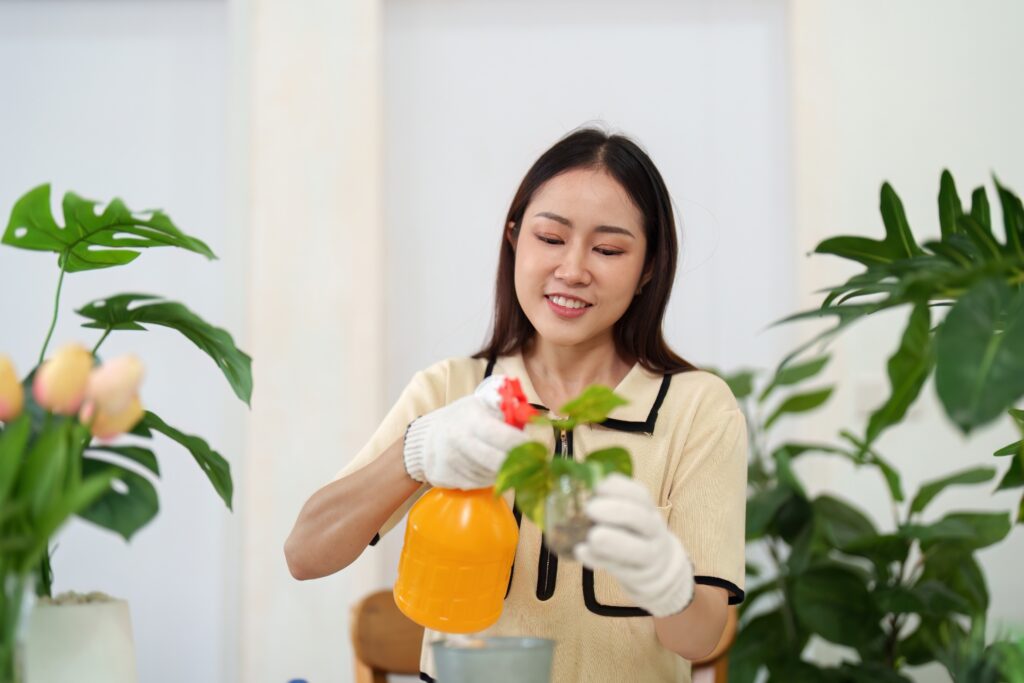 15 façons de garder les plantes heureuses à l’intérieur lorsque le chauffage est allumé