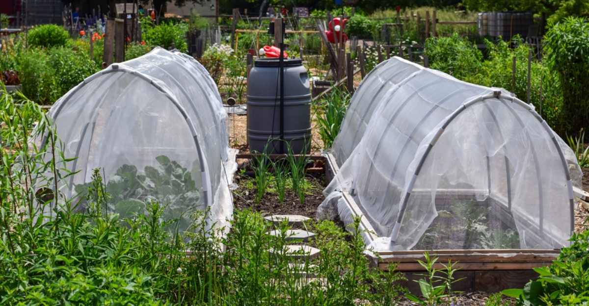 13 façons intelligentes de préparer votre jardin pour la saison des gelées