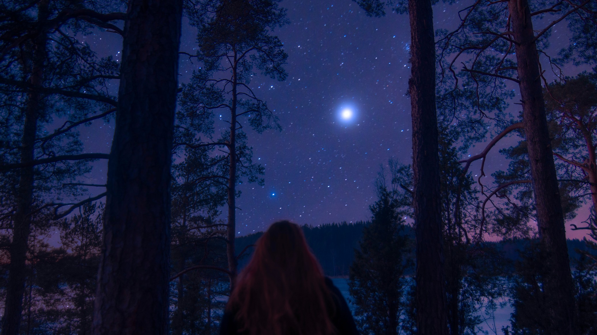 Une personne regarde une étoile brillante au-dessus d’un paysage hivernal