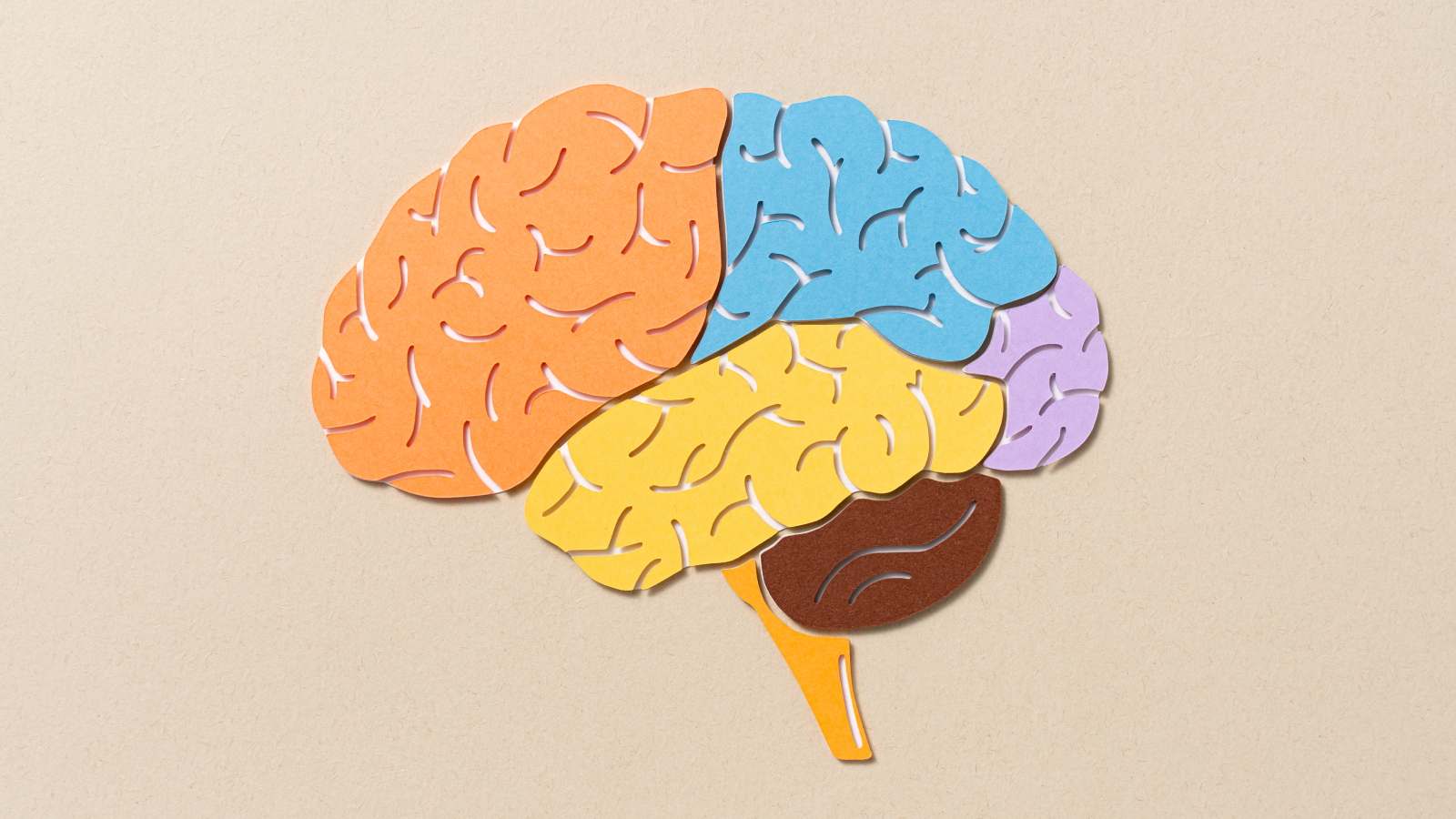 Recherche de mots en neurosciences — Trouvez toutes les parties du cerveau
