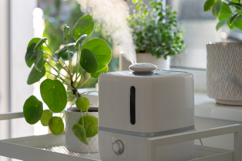 10 façons simples de rentrer votre jardin à l’intérieur pour l’hiver