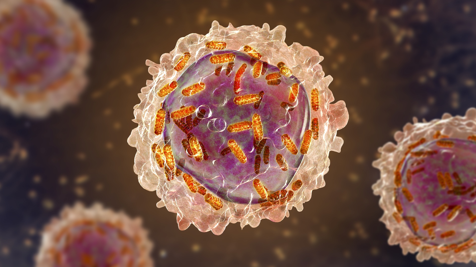 illustrations blanches, roses et oranges de la leucémie des globules blancs