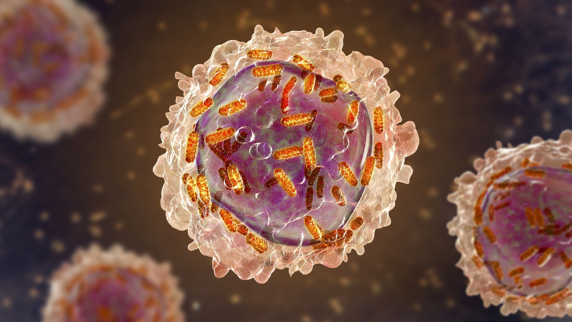 white, pink and orange illustrations of leukemia in white blood cell