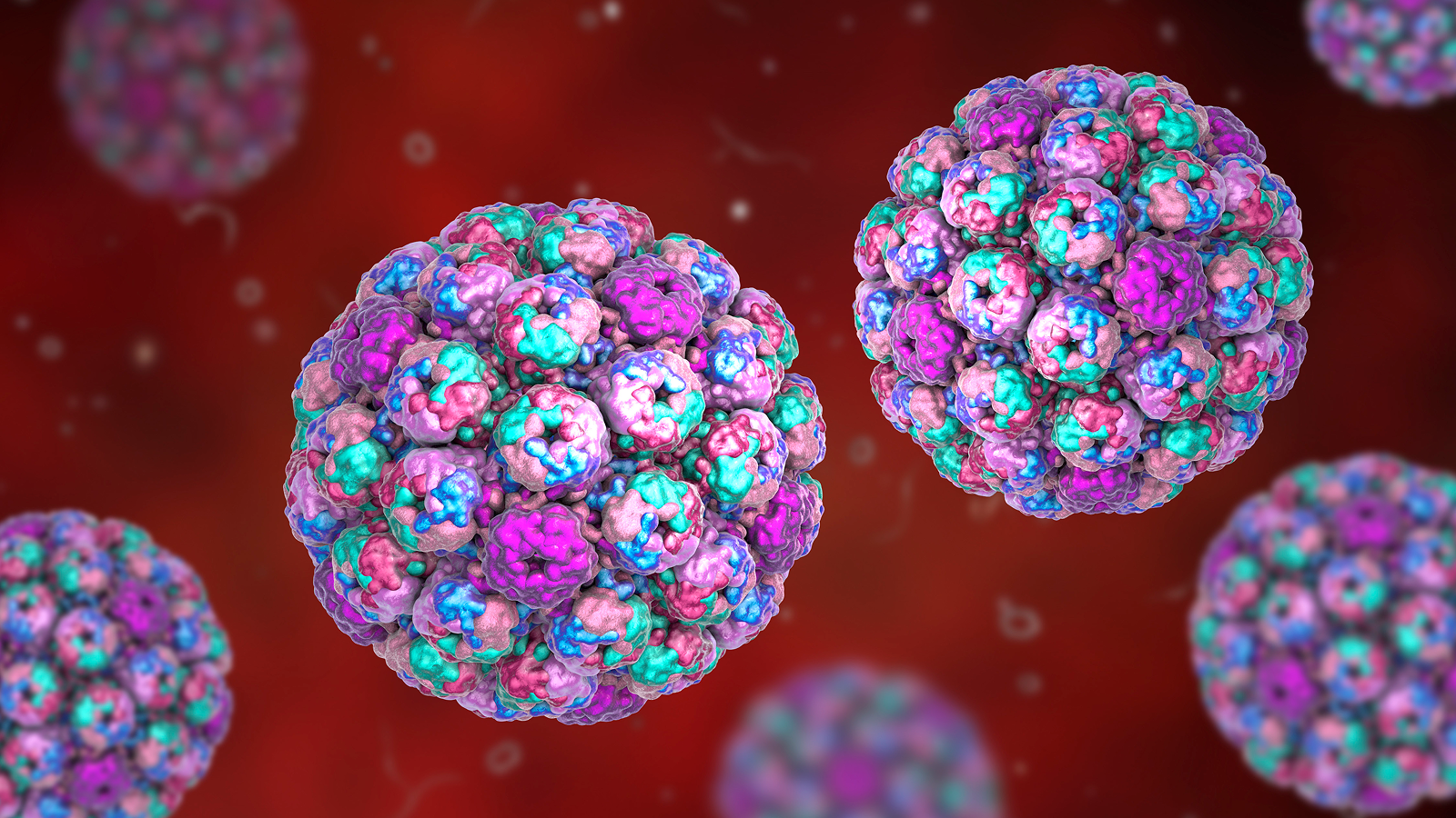 Computer illustration of the capsid of a polyoma BK virus.