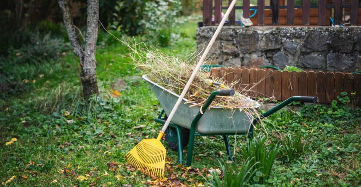 Conseils d'entretien de la pelouse du 14 janvier pour prévenir les maux de tête printaniers