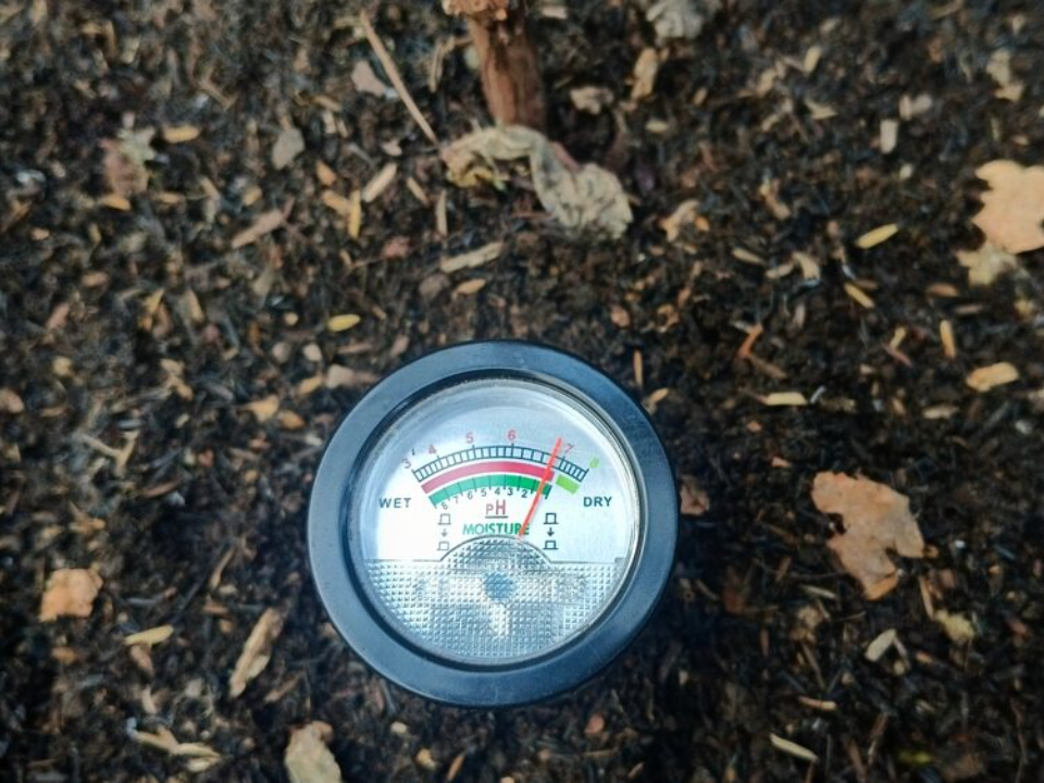 14 travaux de jardinage de fin d'hiver qui comptent vraiment avant l'arrivée du printemps