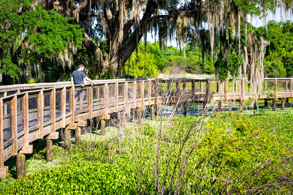 11 refuges fauniques sur la promenade qui valent un voyage à la fin de l'hiver