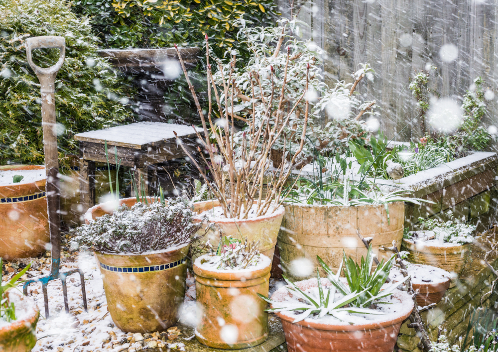 11 astuces de planification de jardin en fin d’hiver qui permettent d’économiser de l’espace et du temps