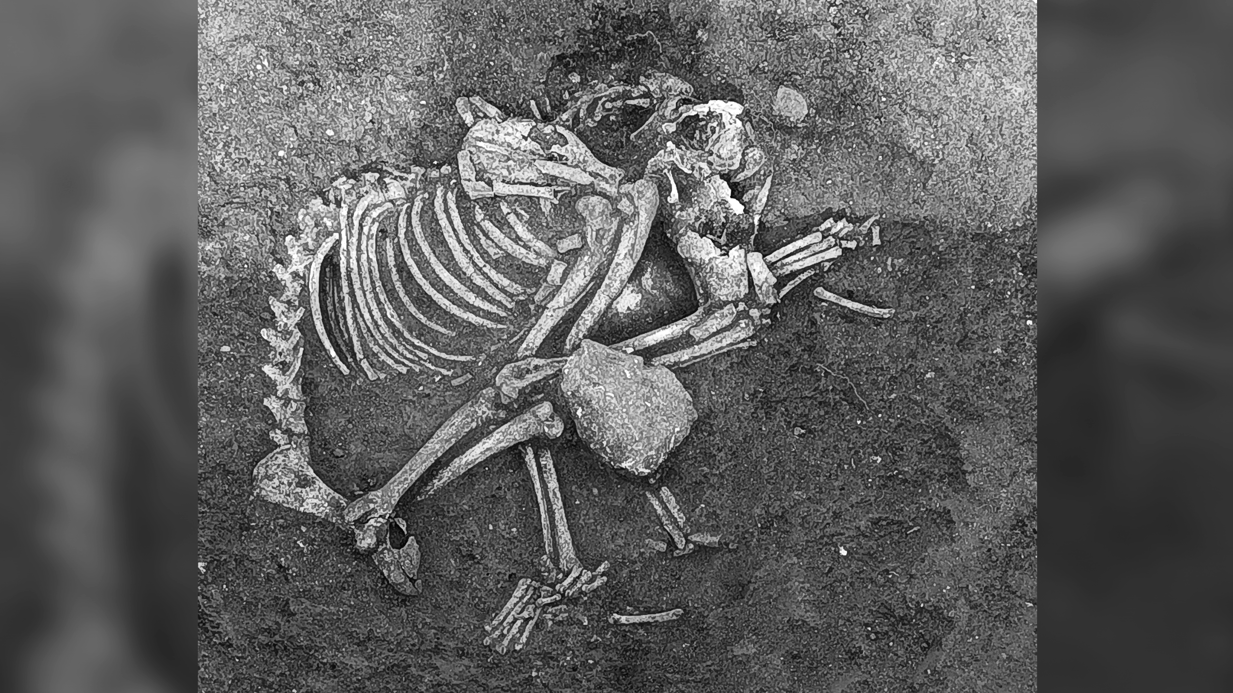 Il y a 2 500 ans, les Bulgares mangeaient de la viande de chien lors des fêtes et comme un mets délicat, selon une étude archéologique