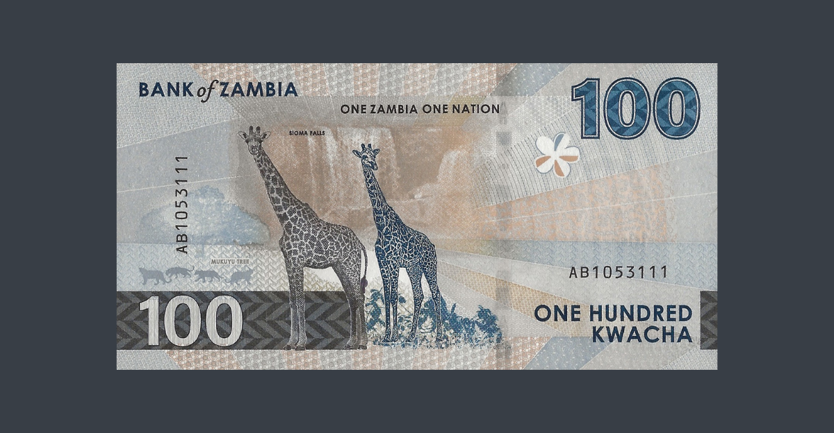 13 billets de banque sympas avec fenêtres transparentes et autres fonctionnalités de sécurité