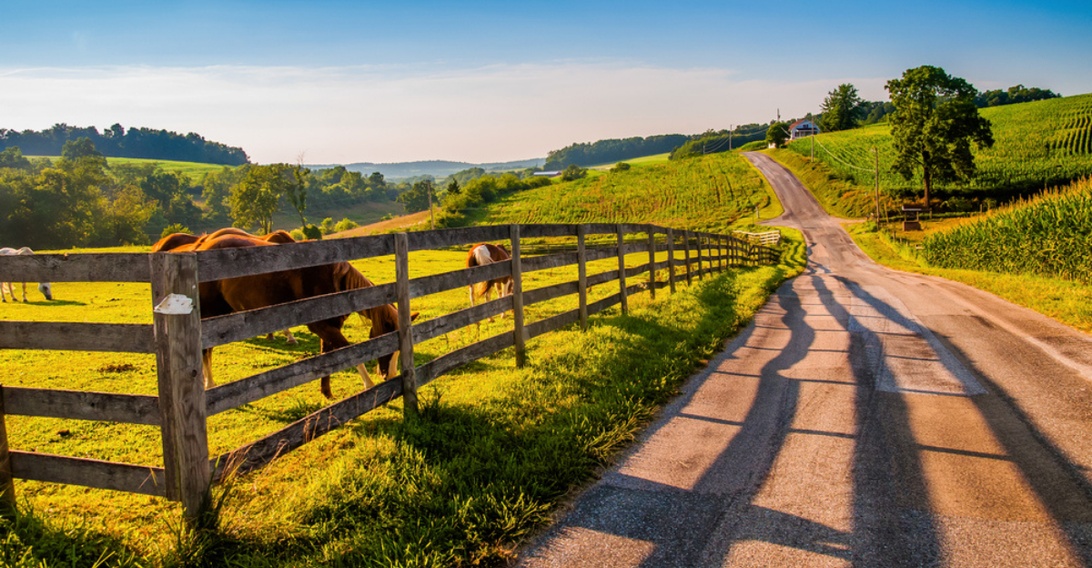 13 parcs agricoles aux États-Unis avec des animaux, des promenades en foin et des sentiers faciles