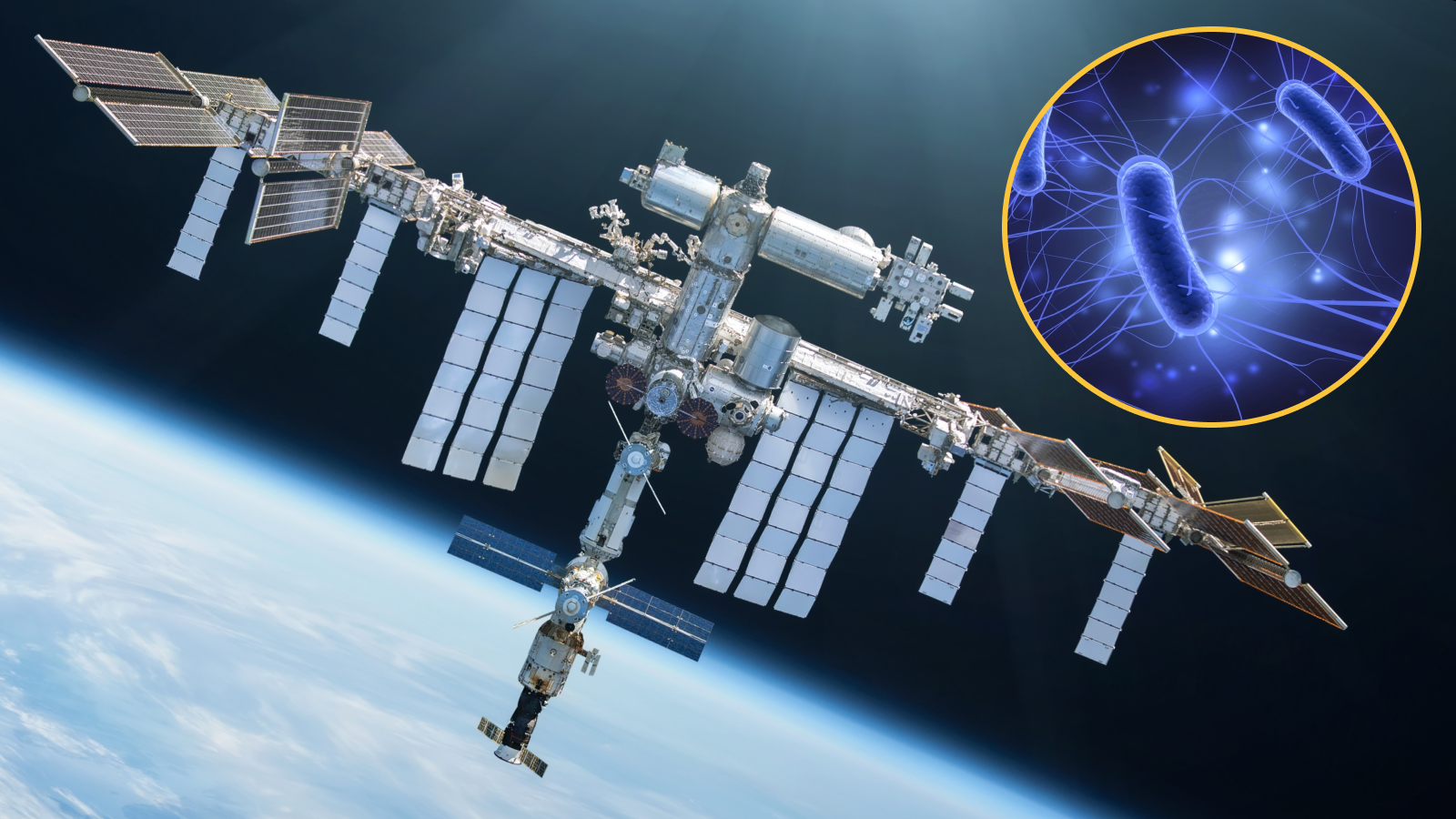 Station spatiale internationale comme image principale, cercle superposé à l'image montrant une illustration numérique de la bactérie e.coli.