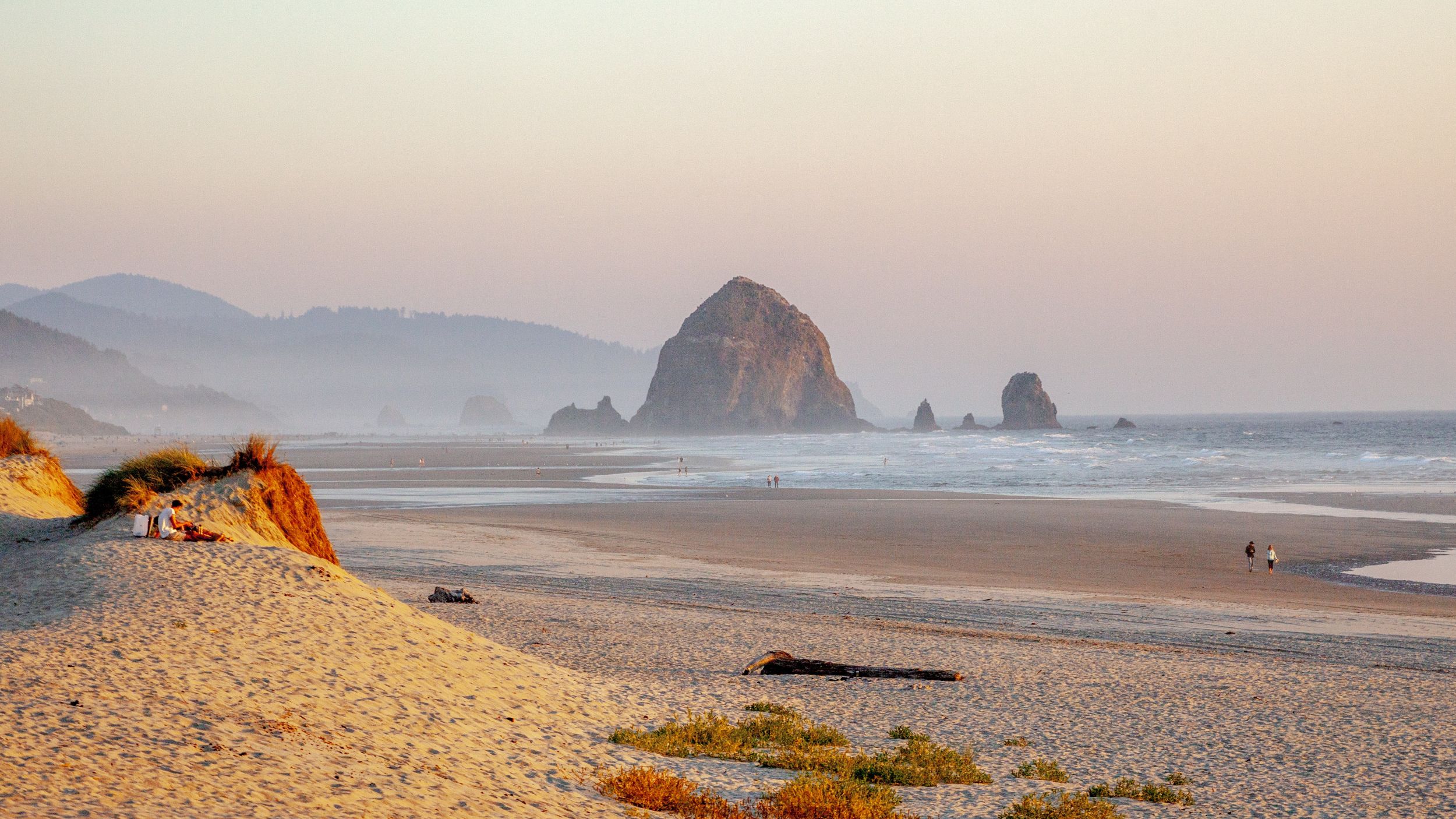 plage de sable de la côte de l'Oregon, rochers