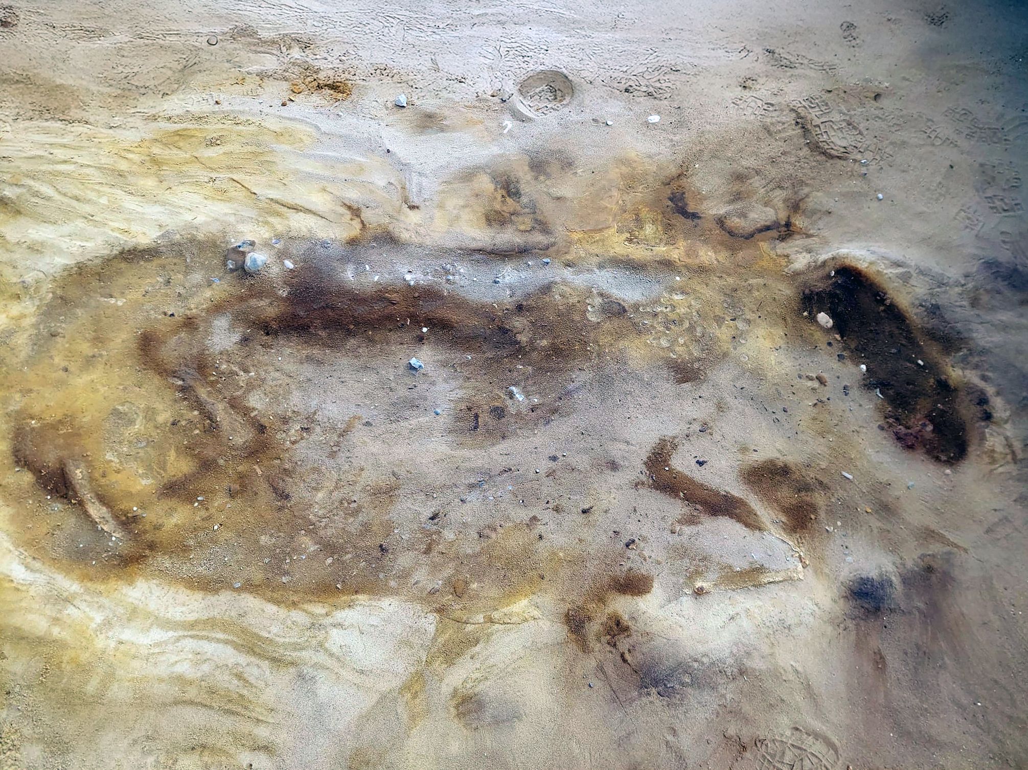 D'étranges « sépultures de sable » d'élite anglo-saxonnes et de leur cheval « sacrifié » découvertes près d'une centrale nucléaire britannique