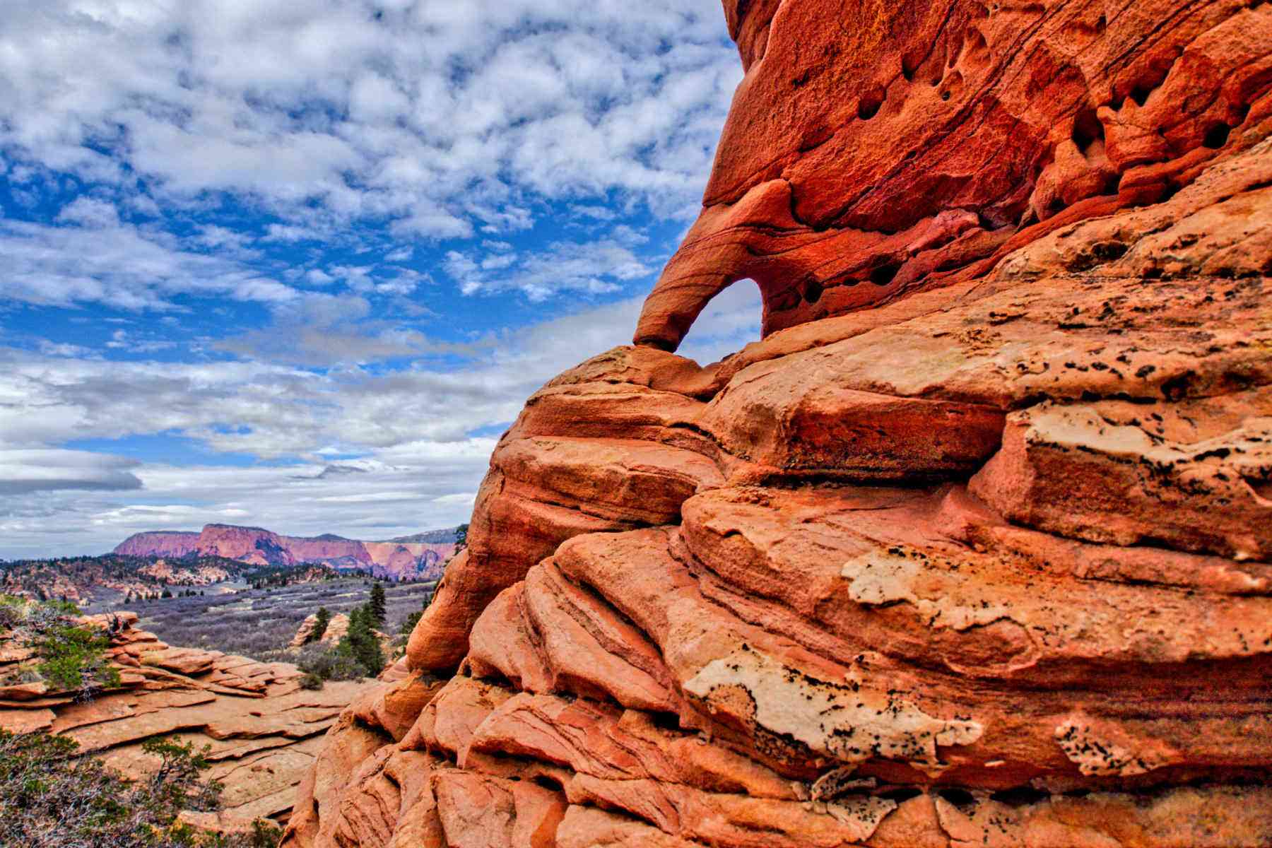Les nouveaux frais de parc national provoquent des files d'attente de plusieurs kilomètres et font fuir les visiteurs, selon le personnel