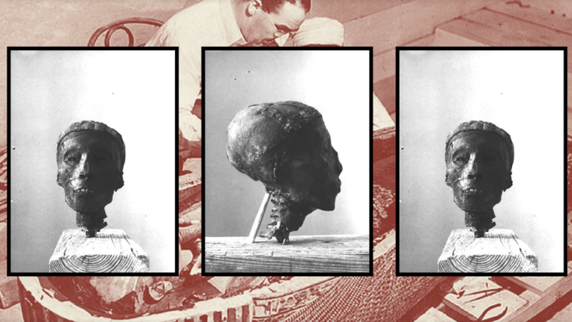 Trois photos en noir et blanc de la tête momifiée et coupée du roi Tut