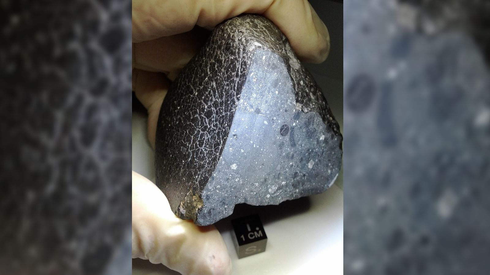 Photo of a gloved hand holding the Martian meteorite known as Black beauty