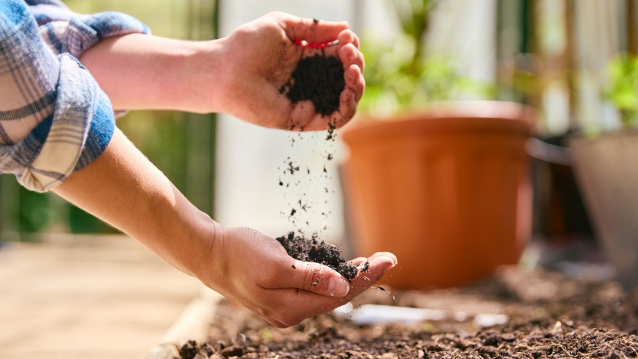 10 sols et mélanges de départ de semences qui fonctionnent réellement en février