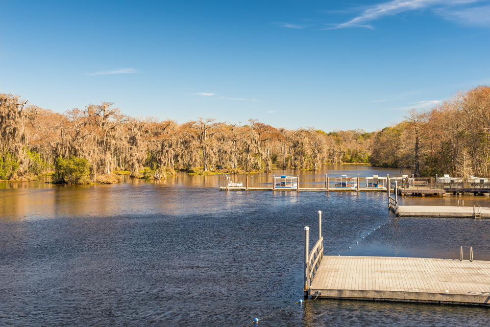 11 voyages à Florida Springs pour la fin de l'hiver avec des eaux claires et des sentiers de promenade