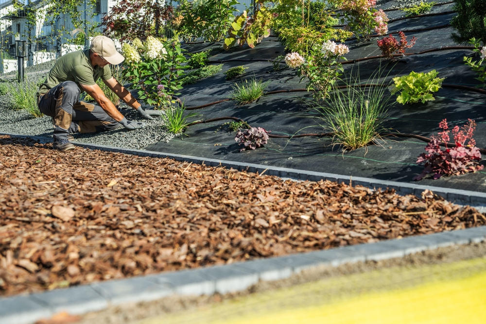 11 projets de jardin économiques qui facilitent le printemps