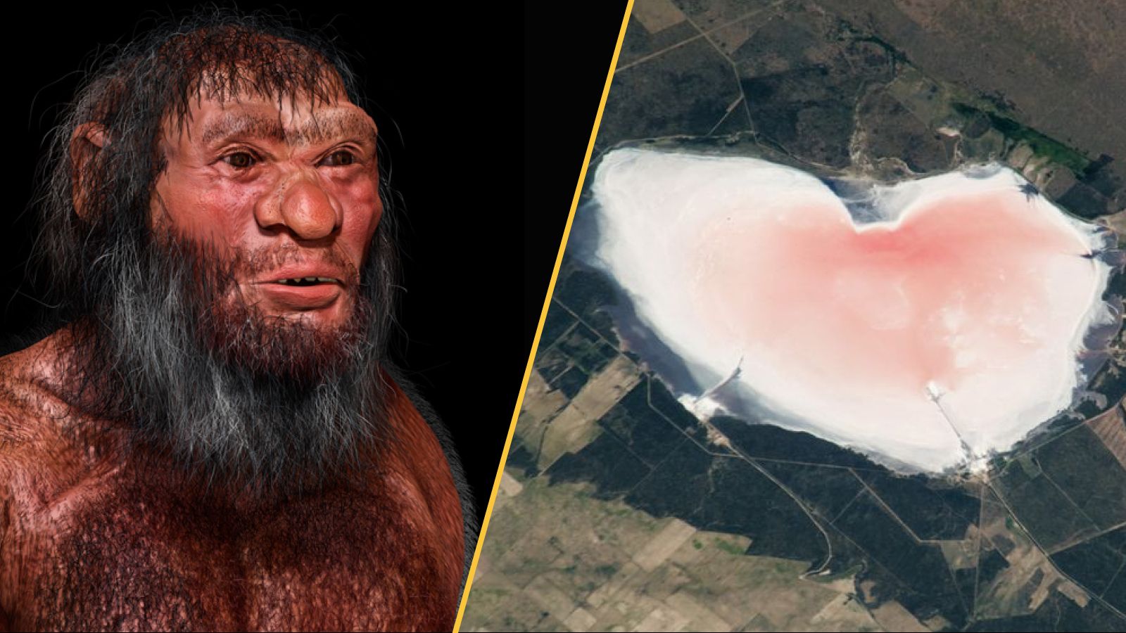 On the left, a reconstruction of a Denisovan. On the right, Salinas Las Barrancas.