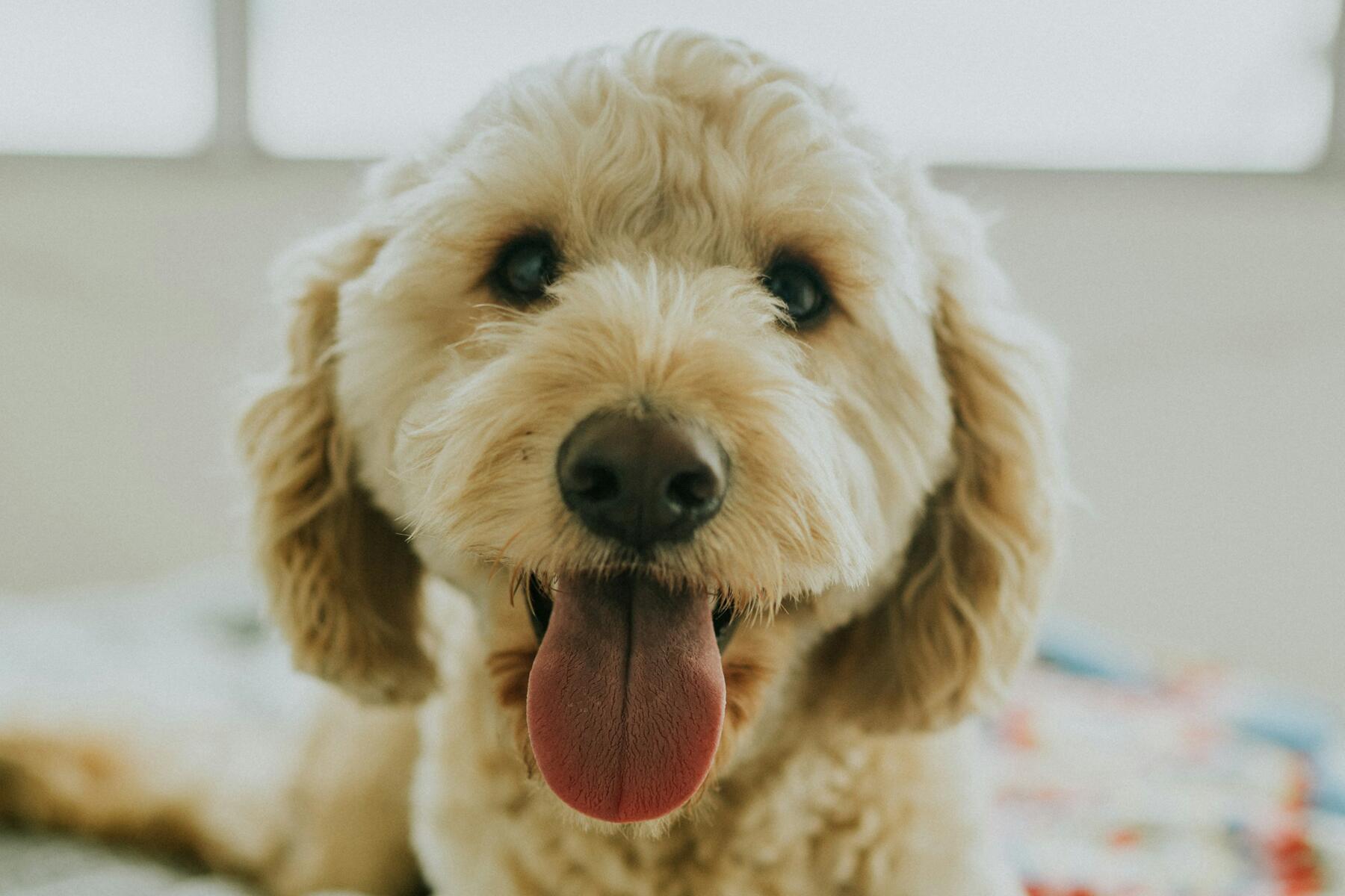 C'est la meilleure nouvelle que vous lirez aujourd'hui