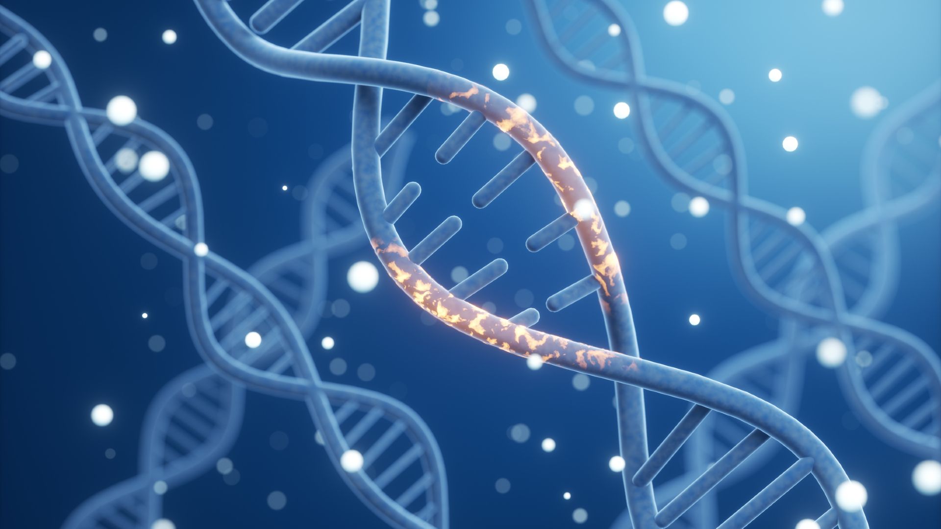 An illustration of blue double-helix strands of DNA surrounded by white bubbles against a blue background. The strand in the foreground closest to the viewer has a middle section lit up in golden light.
