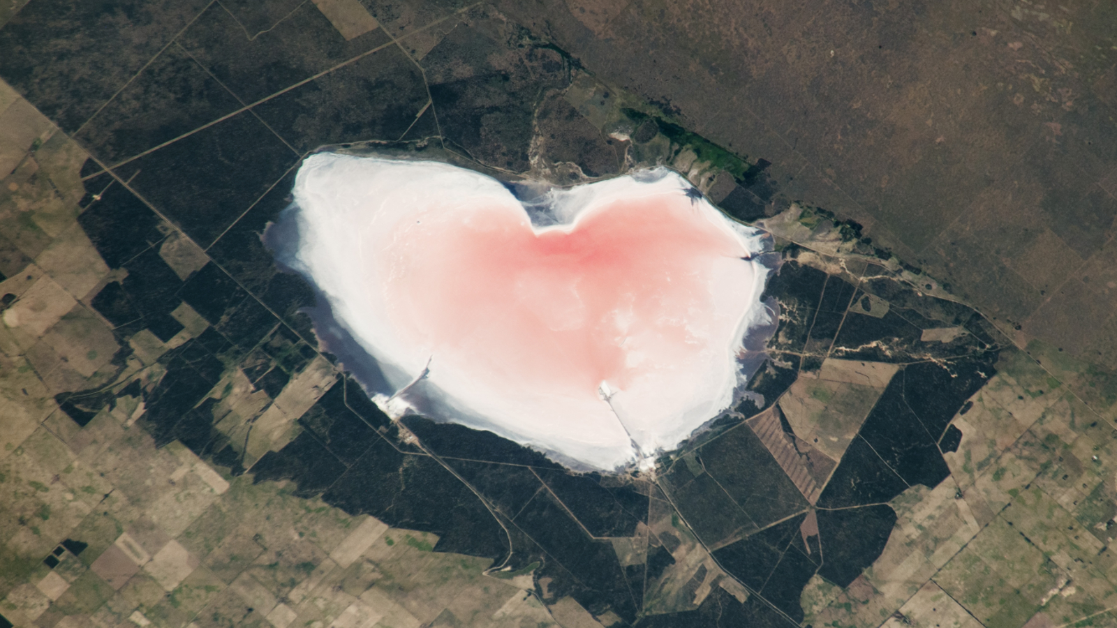 Photo satellite d'un lac salé rose en forme de cœur