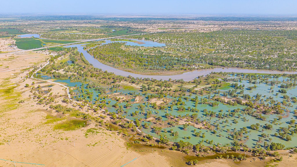 Vue sur la rivière Tarim, au bord du désert chinois du Taklamakan. On aperçoit des cours d'eau et de la végétation sur les berges de la rivière.