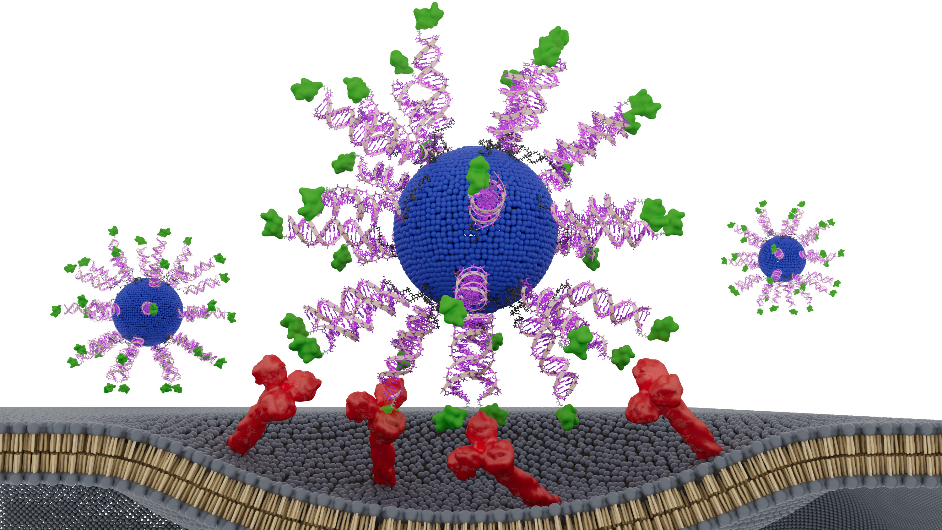 illustration de nanoparticules qui composent un vaccin contre le cancer. chaque particule sphérique contient de minces morceaux de protéines qui dépassent de sa surface