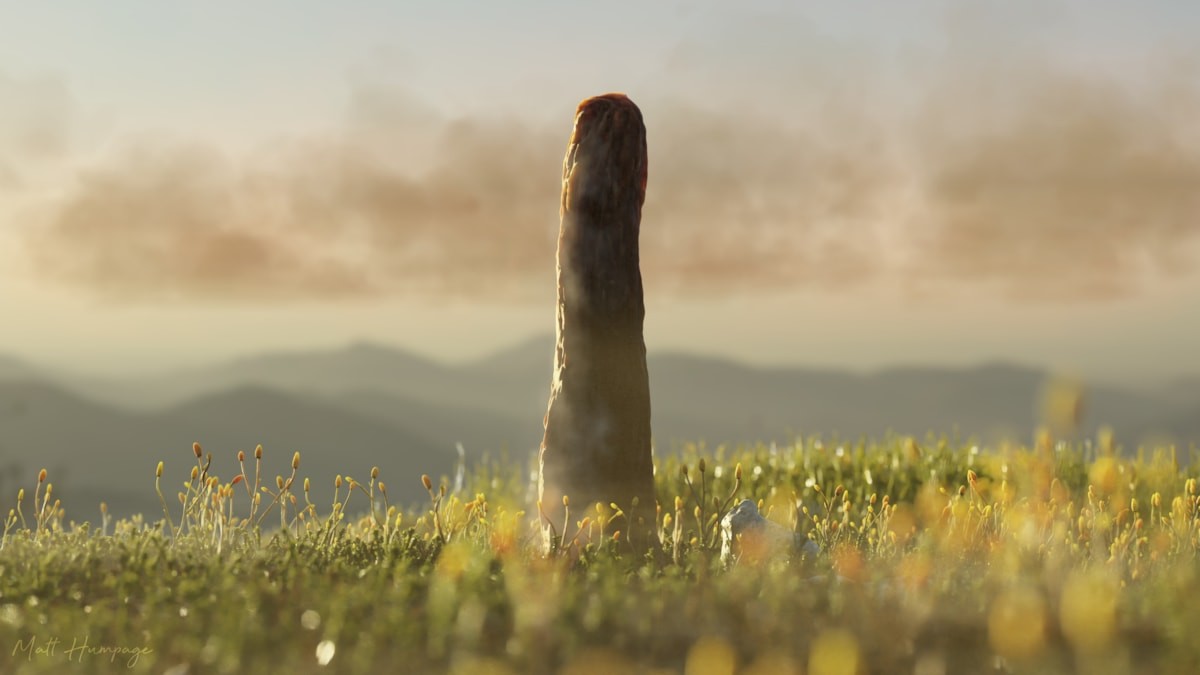 impression d'artiste d'une forme de vie inconnue dans un champ 